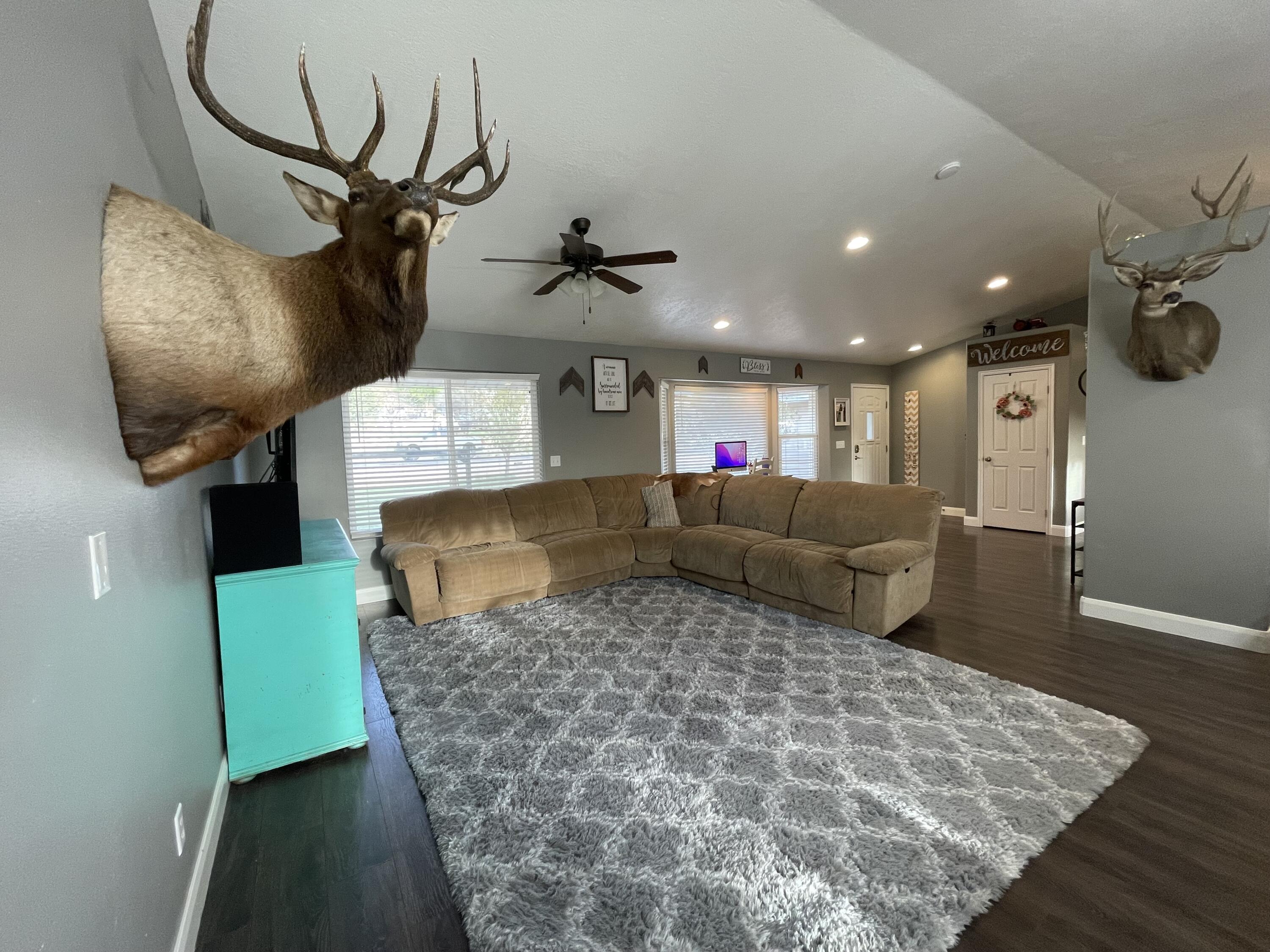 DIAMOND VALLEY ACRES - Residential