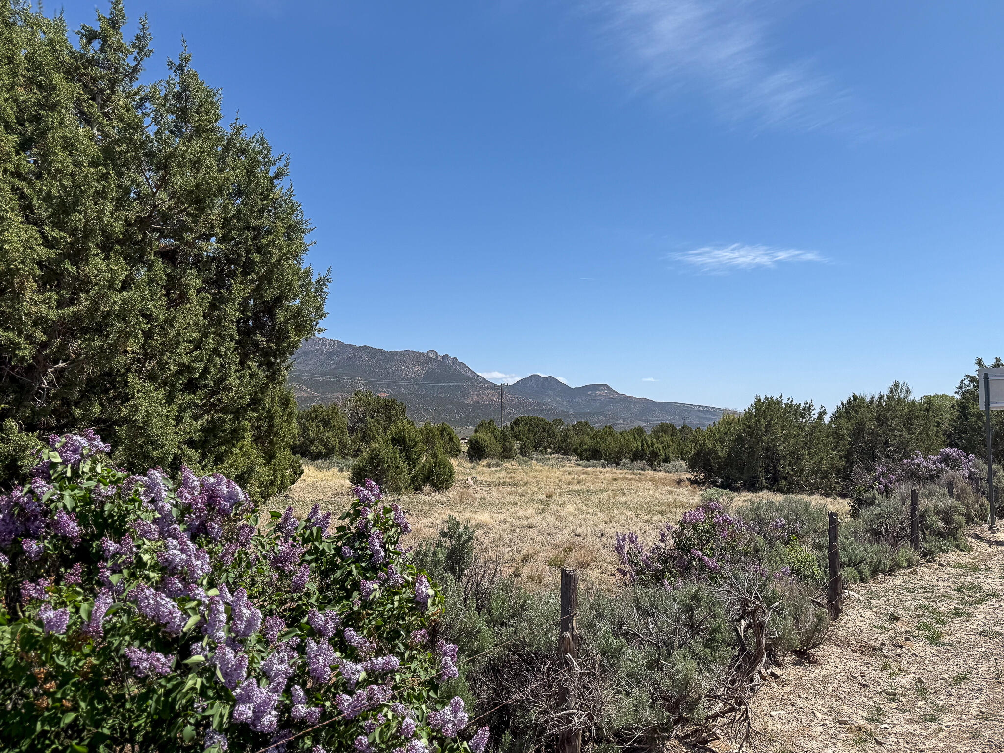 DIXIE DEER ESTATES - Residential