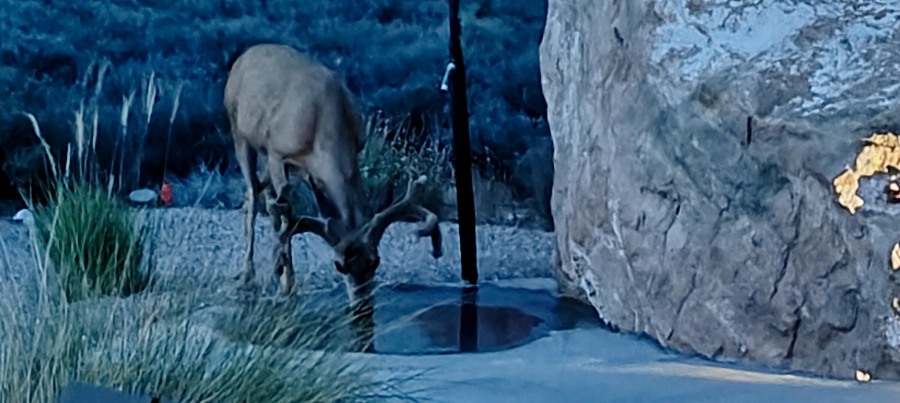 CANYON POINT - Residential