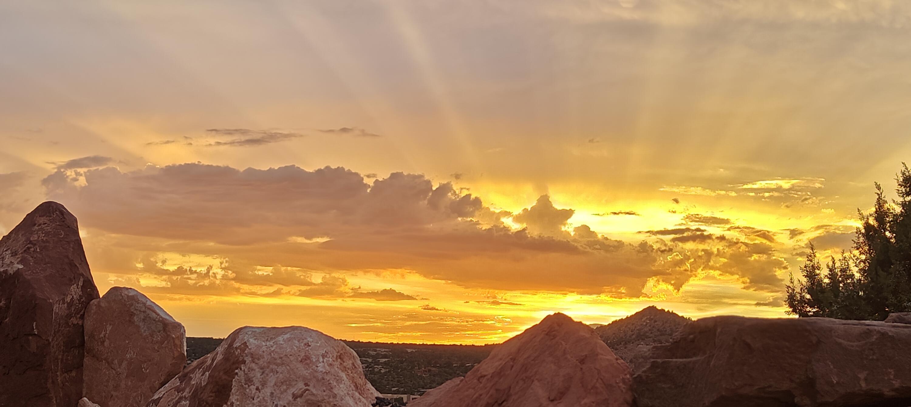 CANYON POINT - Residential