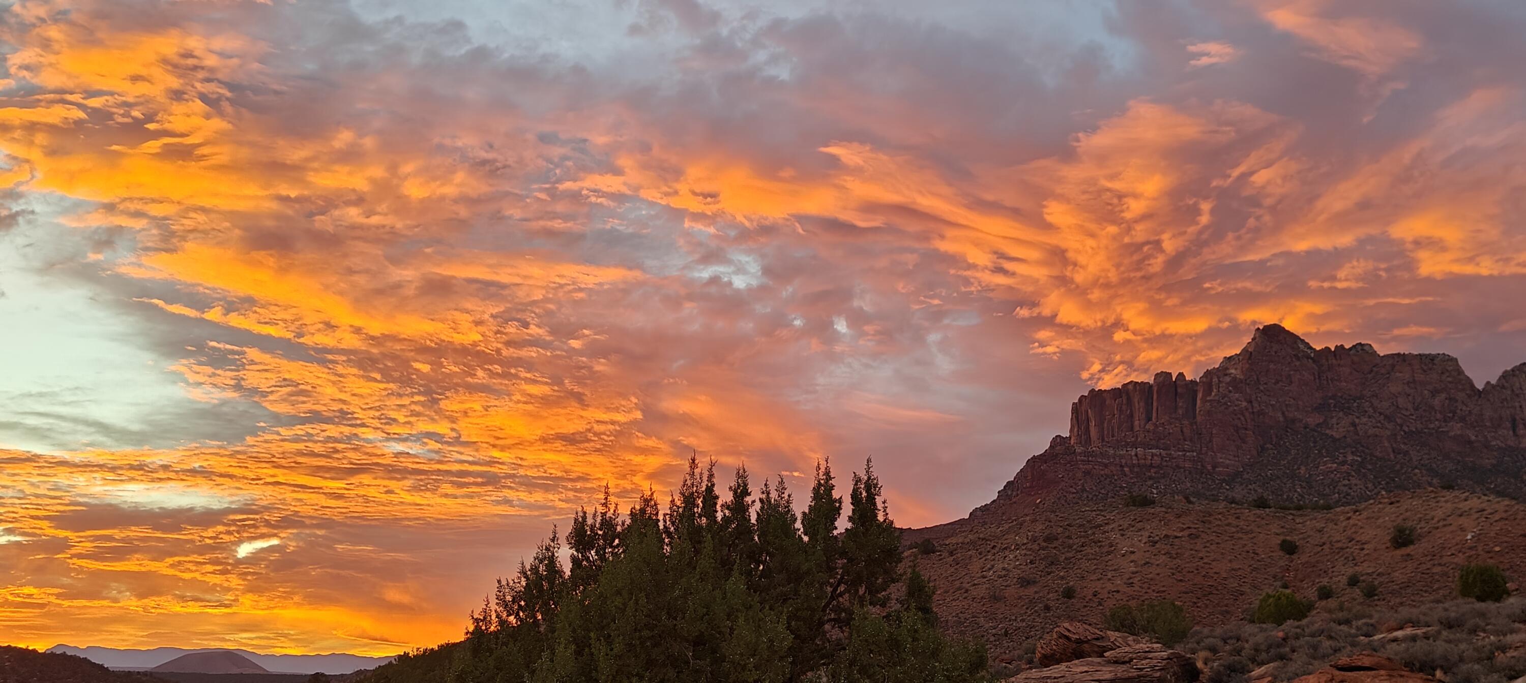 CANYON POINT - Residential
