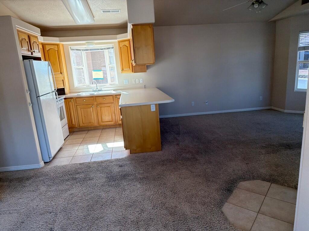 RIO VIRGIN RV PARK - Residential