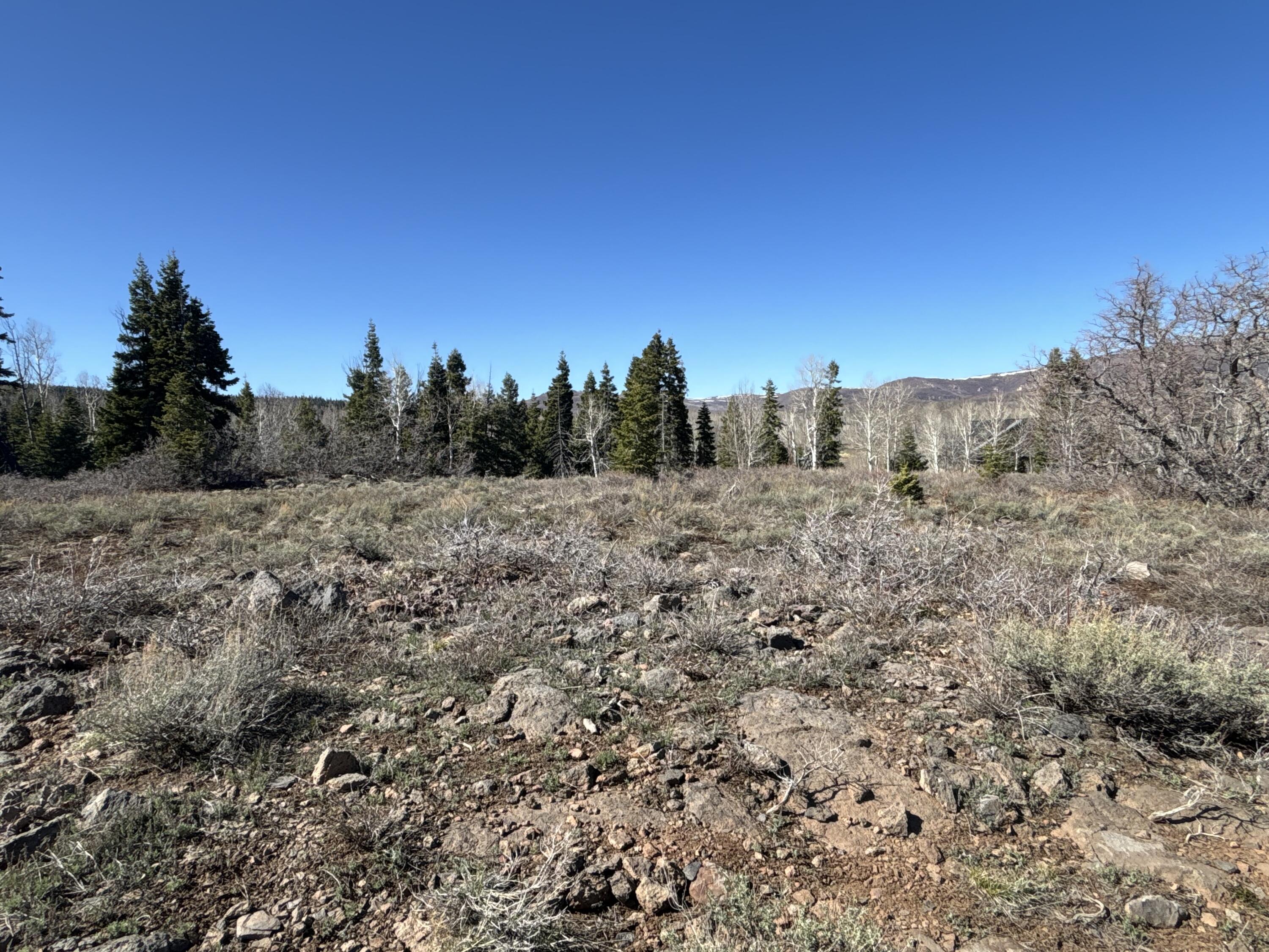 WHISPERING PINES SUB - Land