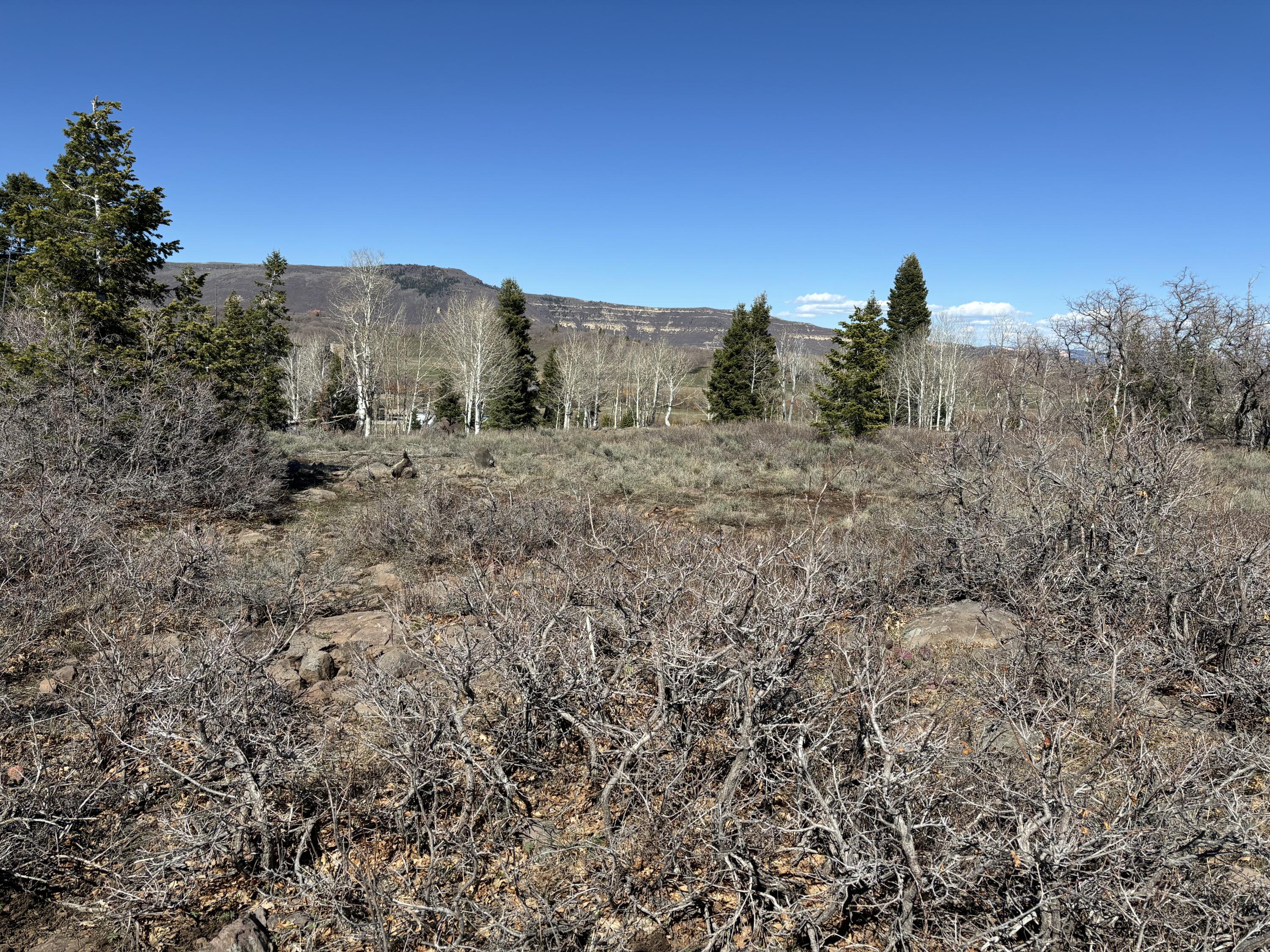 WHISPERING PINES SUB - Land