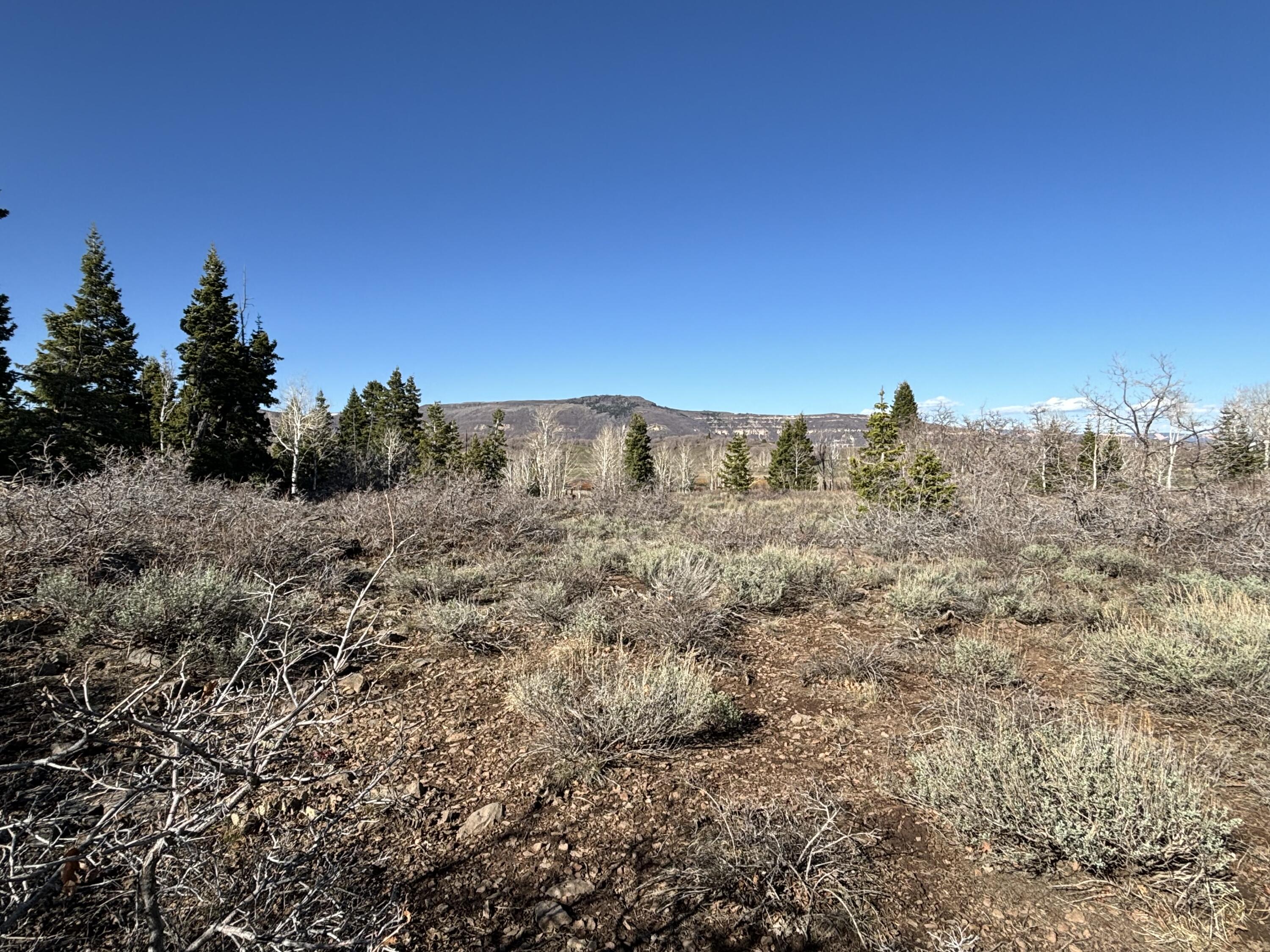 WHISPERING PINES SUB - Land