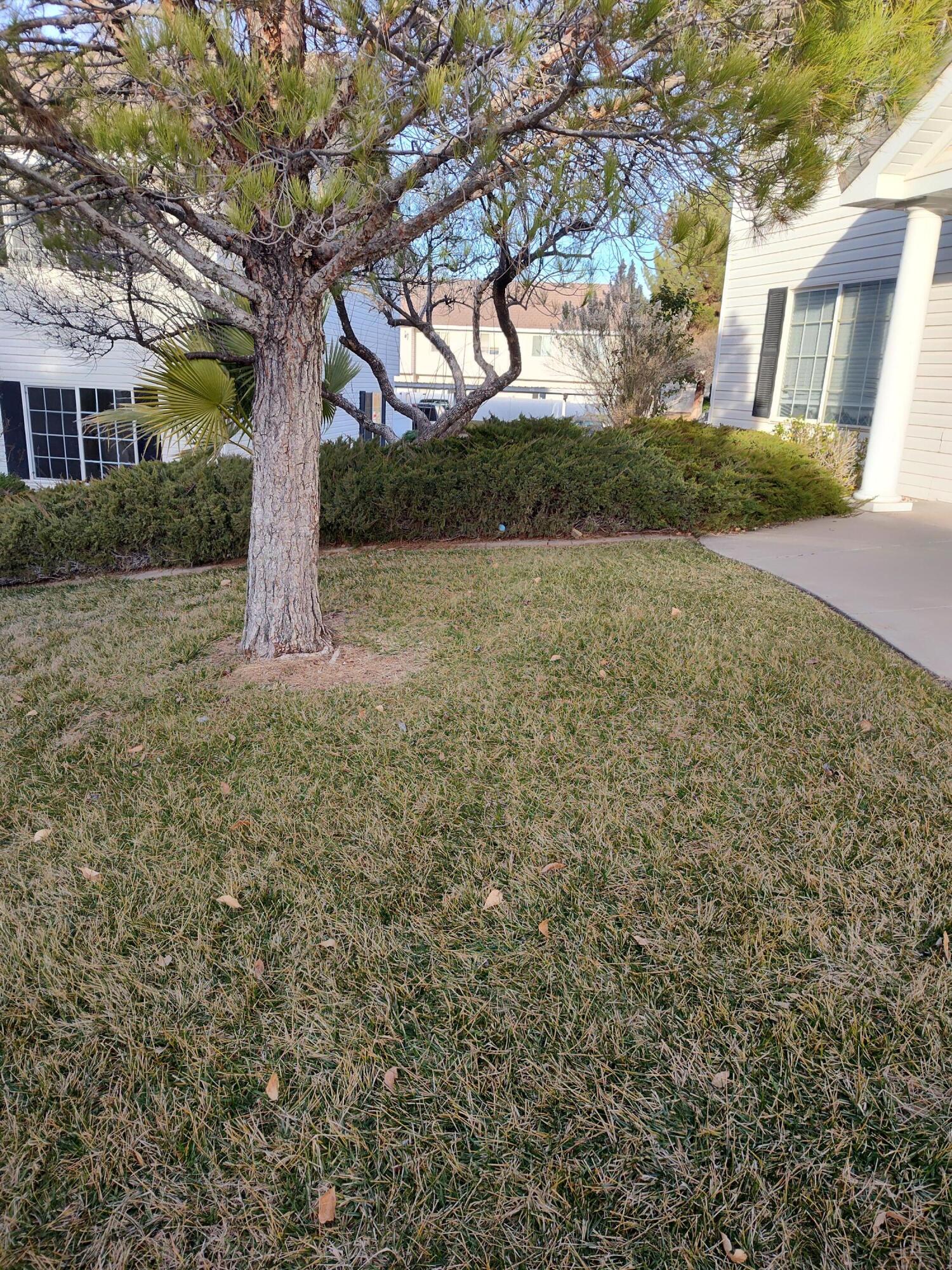 LEXINGTON HILLS TOWNHOMES - Residential