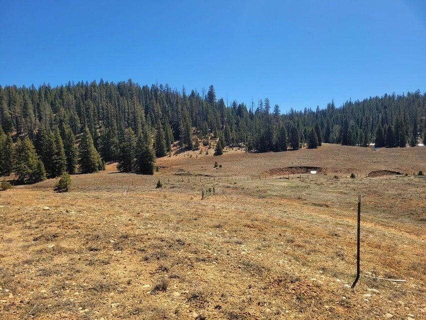Photo of 520 N Grassy Trail, Duck Creek, UT 84762 (MLS # 26-273339)