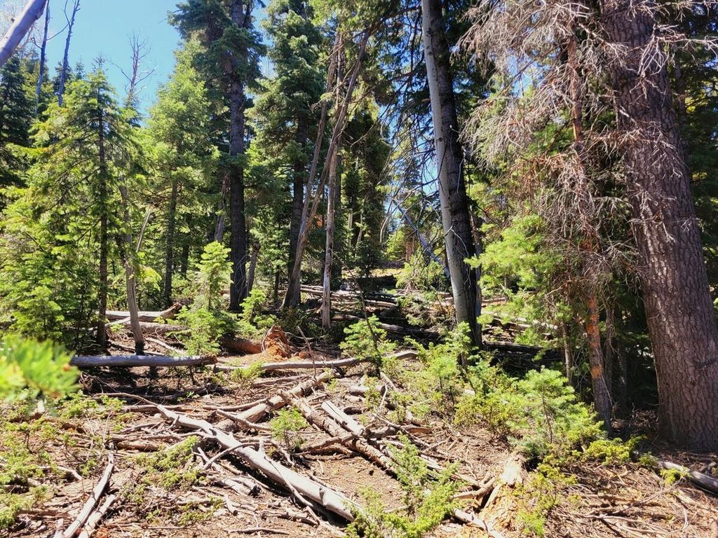 Photo of 880 W Shale CIR, Duck Creek, UT 84762 (MLS # 26-271822)