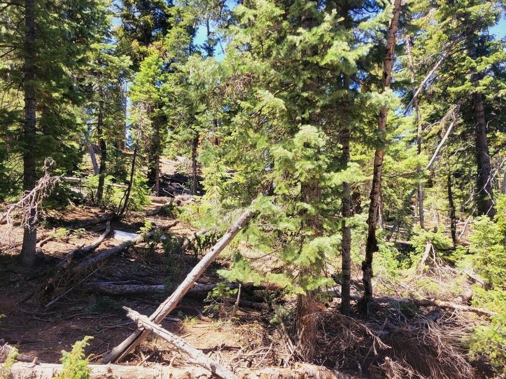 Photo of 880 W Shale CIR, Duck Creek, UT 84762 (MLS # 26-271822)
