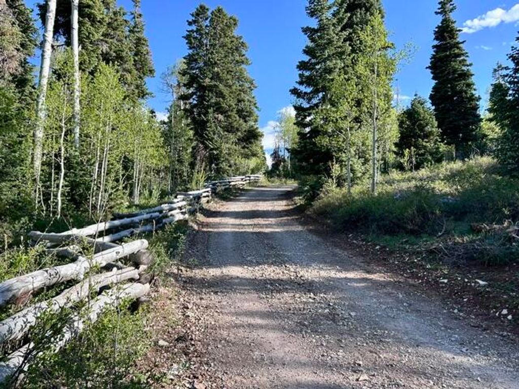 Photo of 40 Acres Near Kolob Reservoir, Kolob, UT 84767 (MLS # 26-272308)