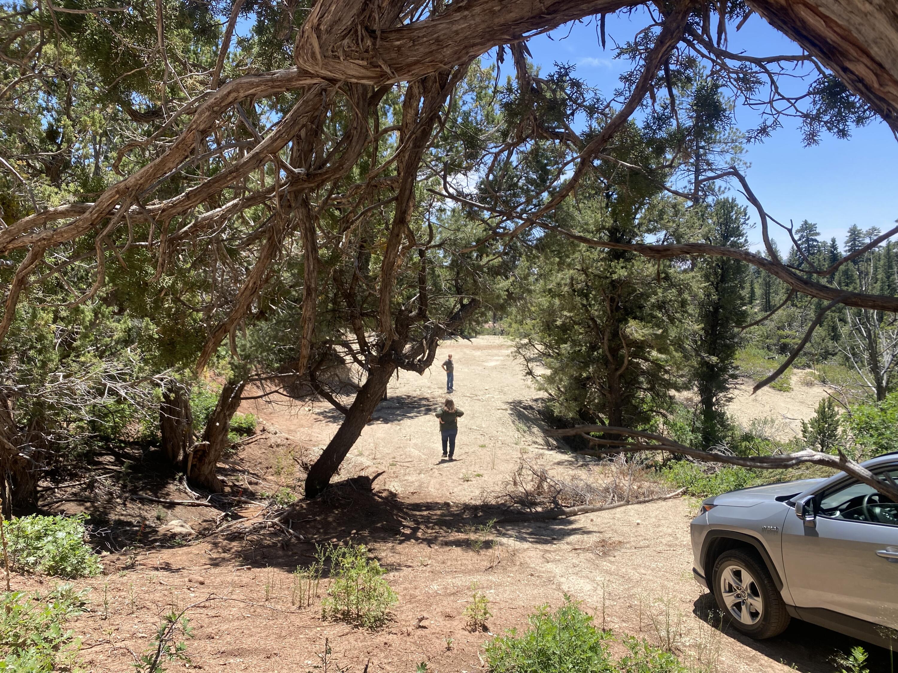 ZION PANORAMA - Land