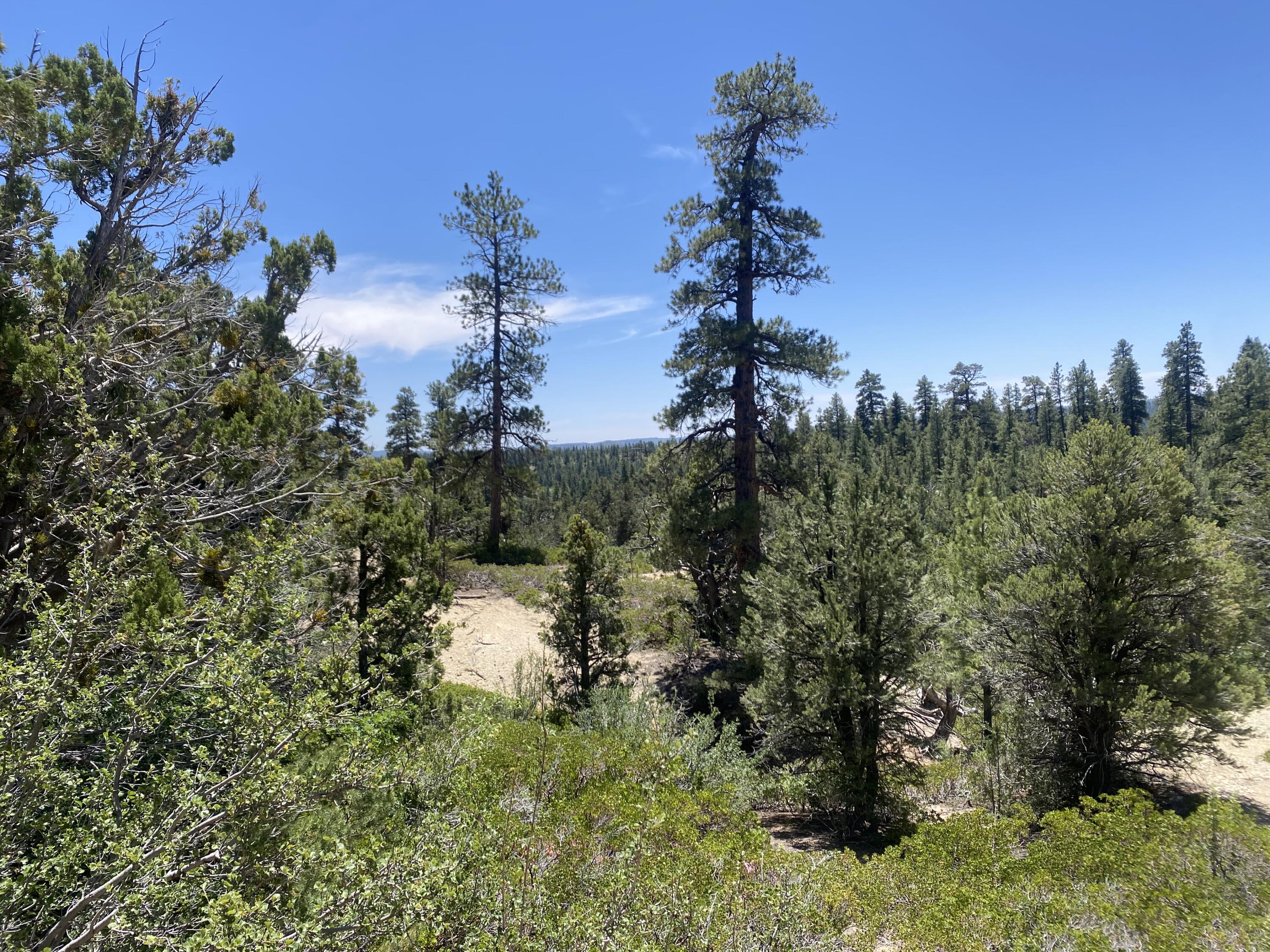 ZION PANORAMA - Land