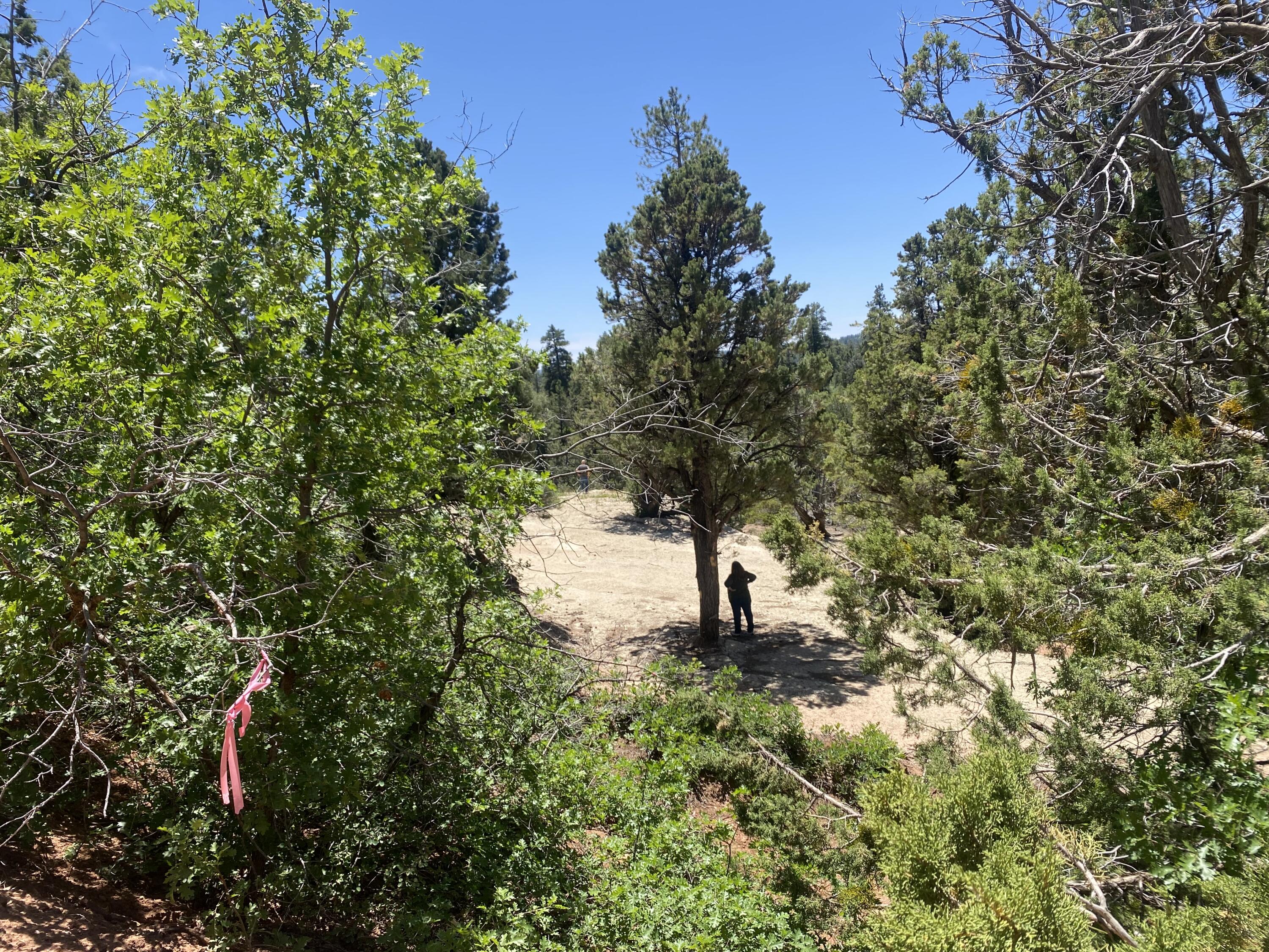 ZION PANORAMA - Land