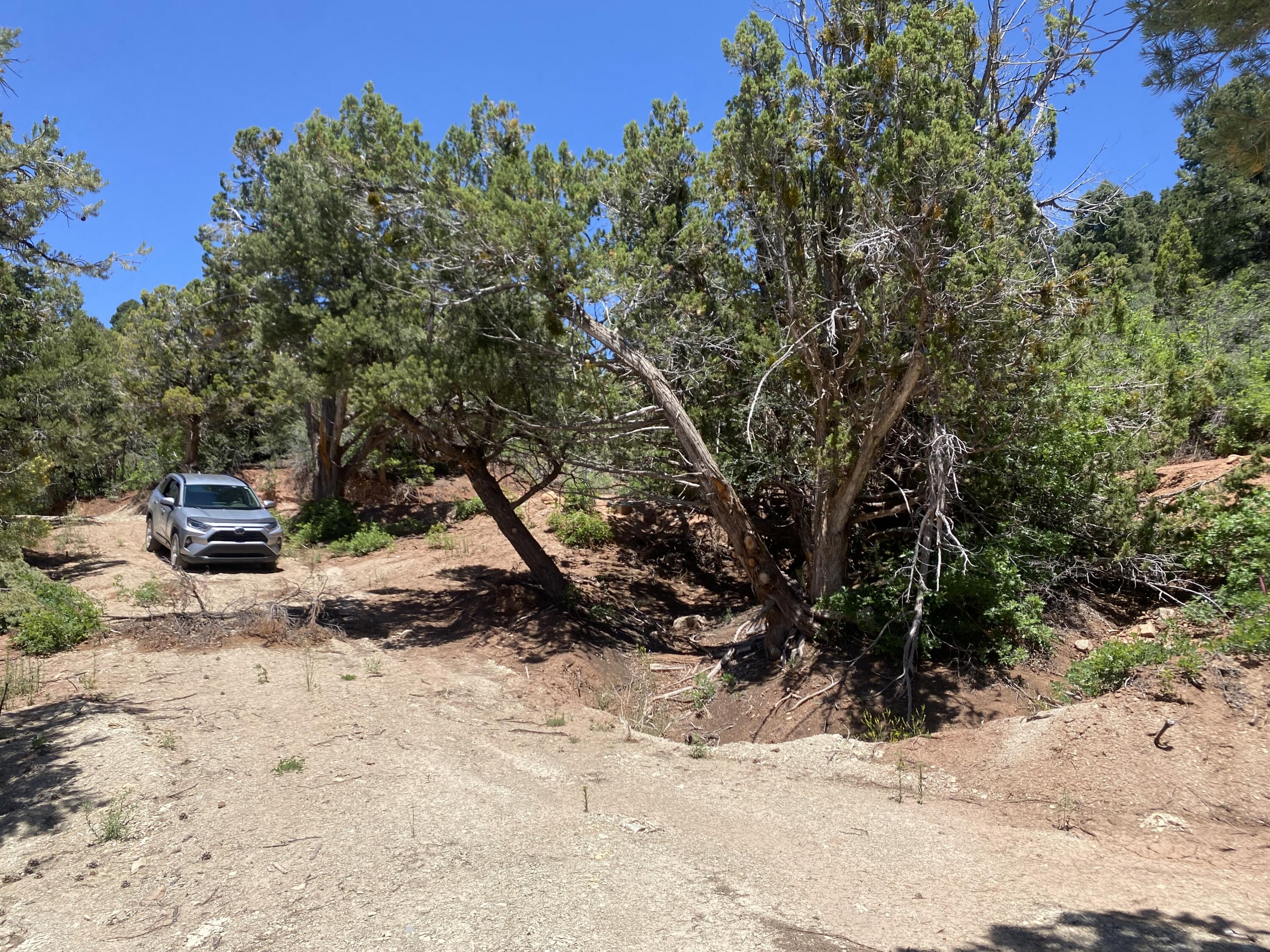 ZION PANORAMA - Land