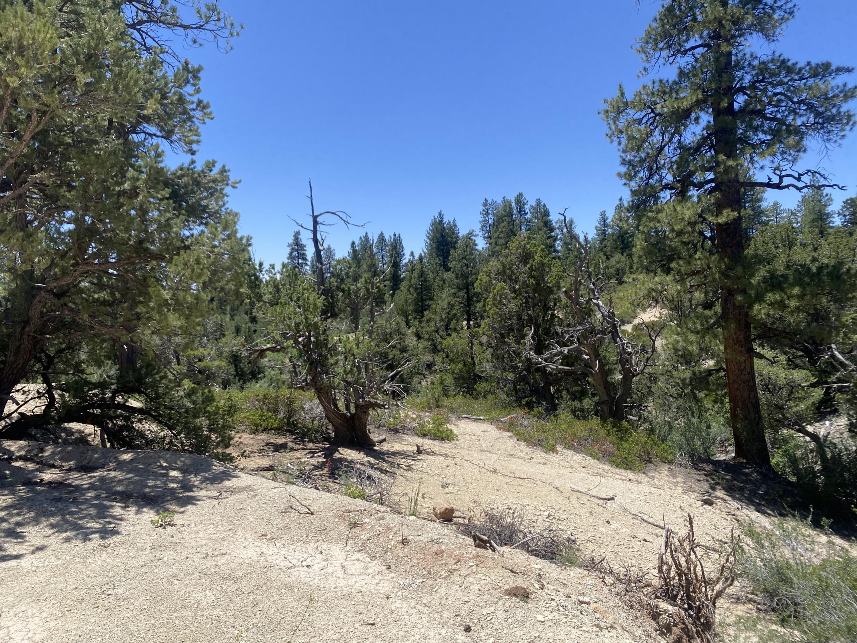 ZION PANORAMA - Land