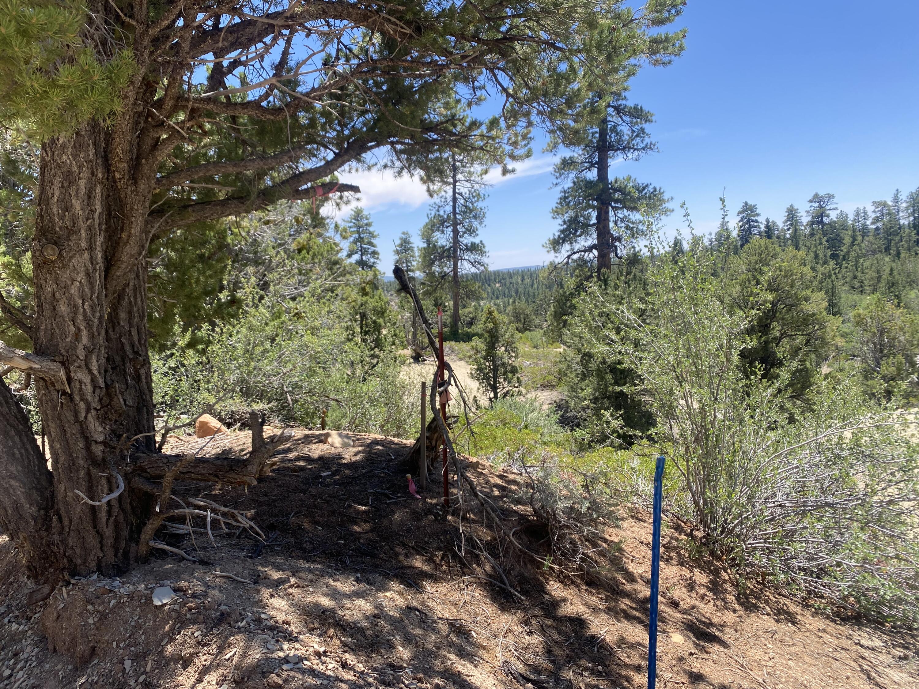 ZION PANORAMA - Land