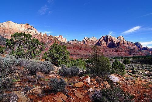 SPRINGDALE TOWNSITE - Land