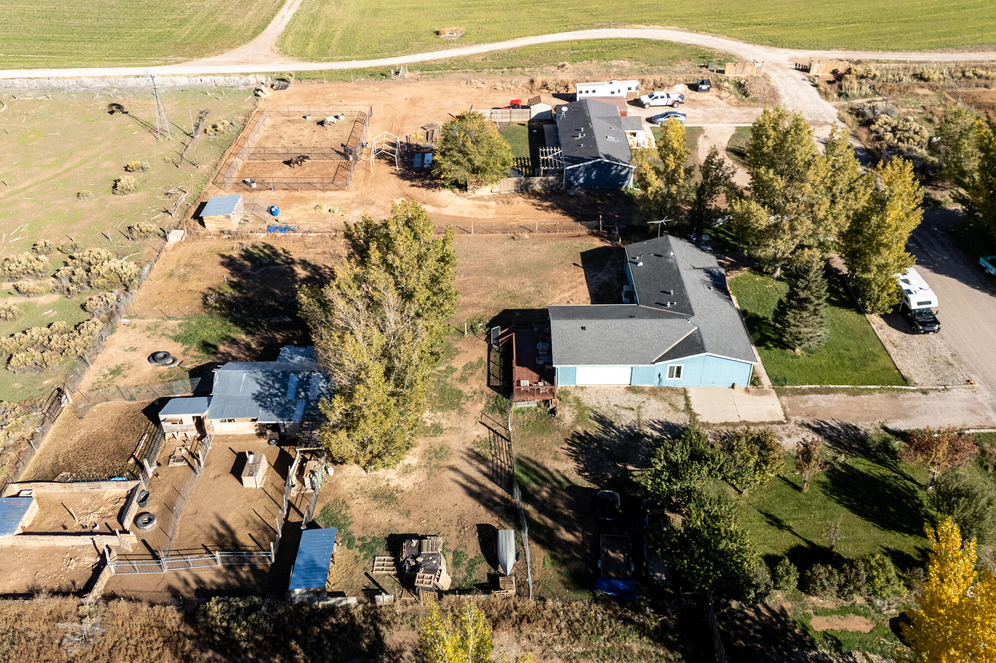 BUENA VISTA - Residential