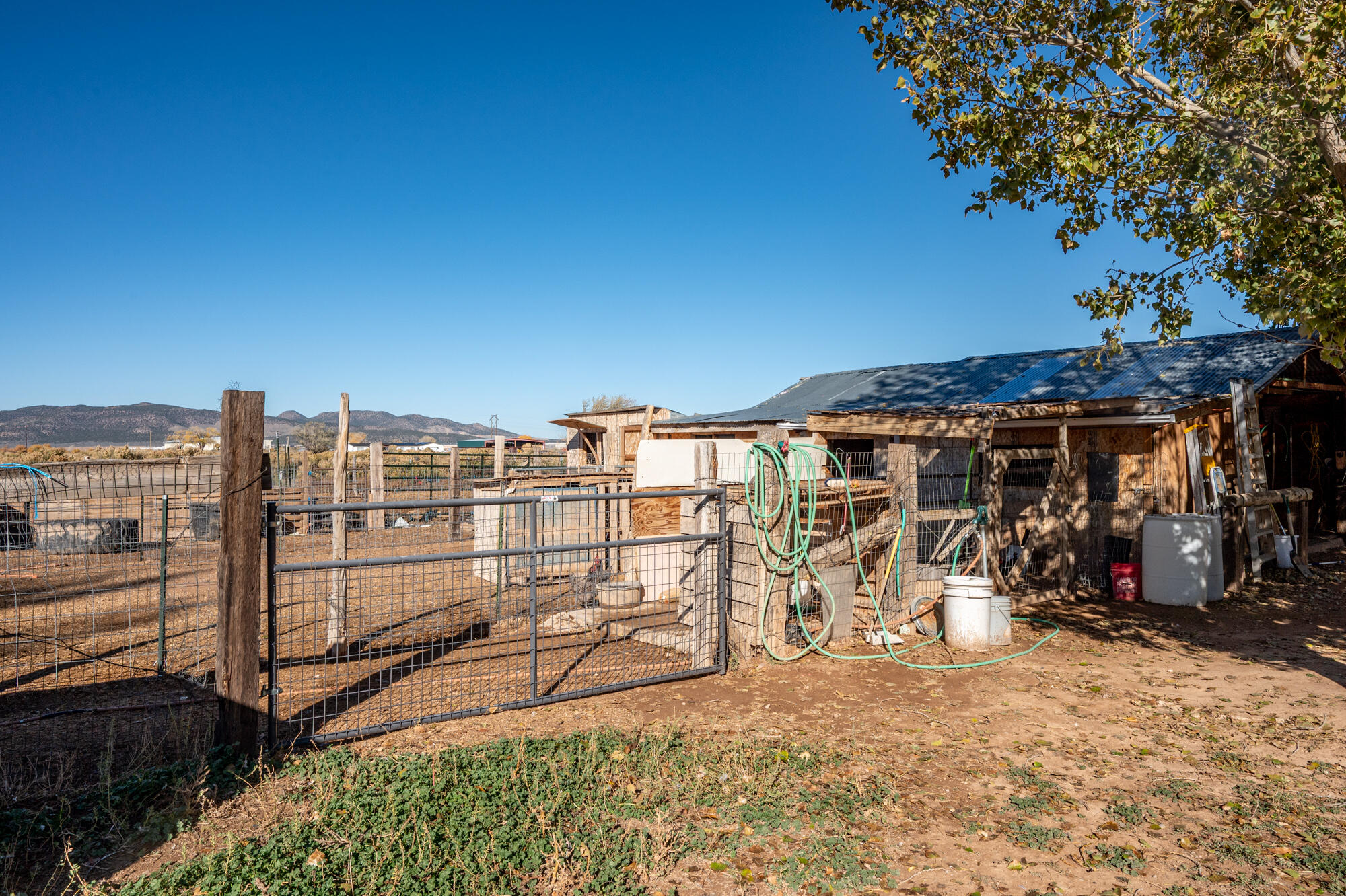 BUENA VISTA - Residential