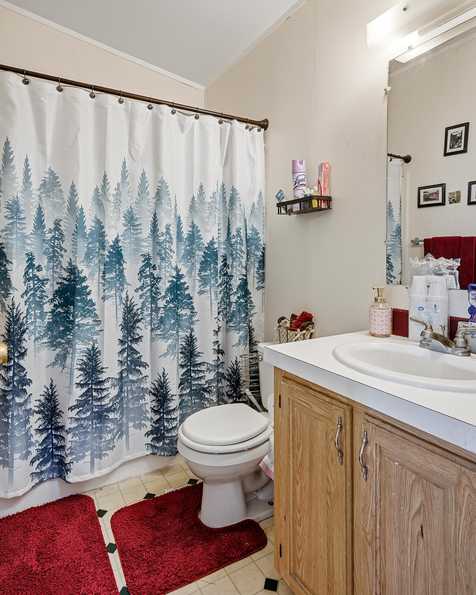 BUENA VISTA - Residential