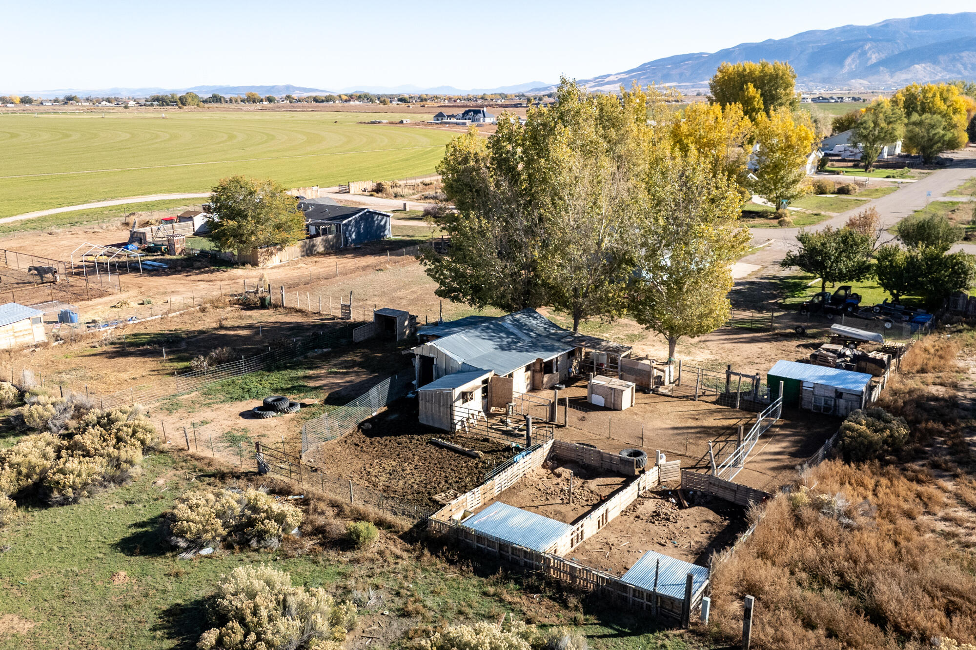 BUENA VISTA - Residential