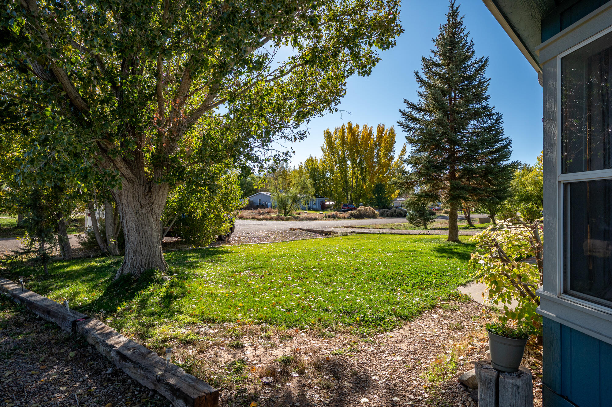 BUENA VISTA - Residential