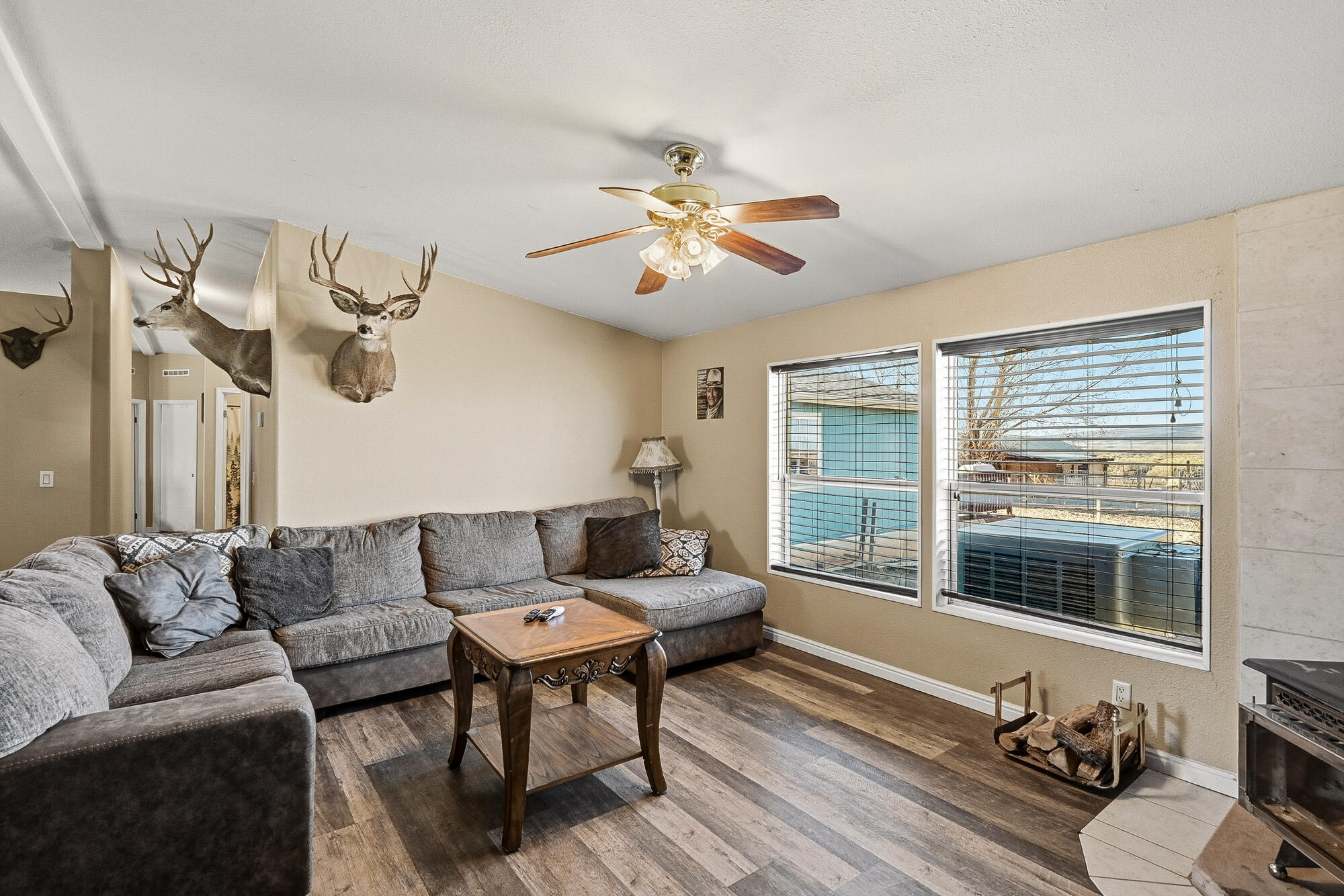 BUENA VISTA - Residential