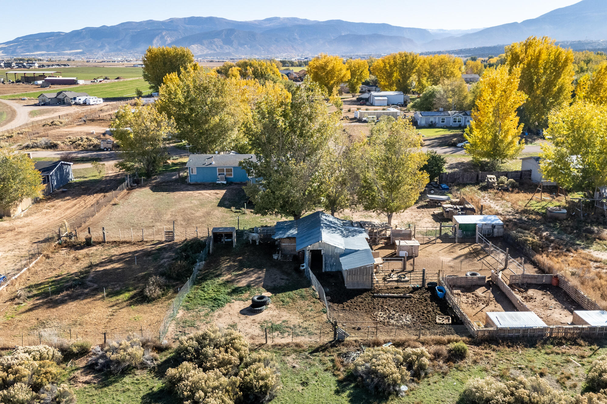 BUENA VISTA - Residential