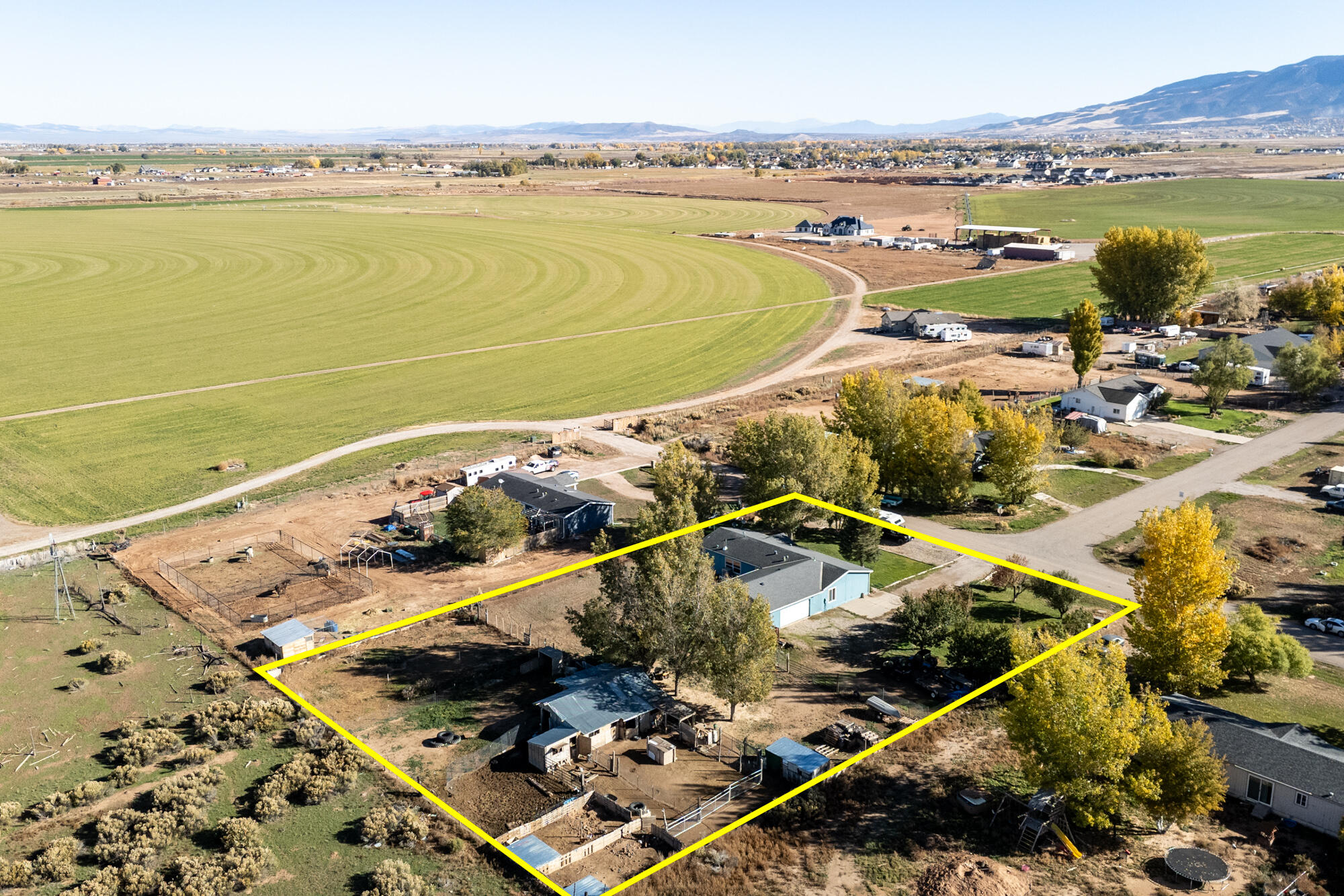 BUENA VISTA - Residential