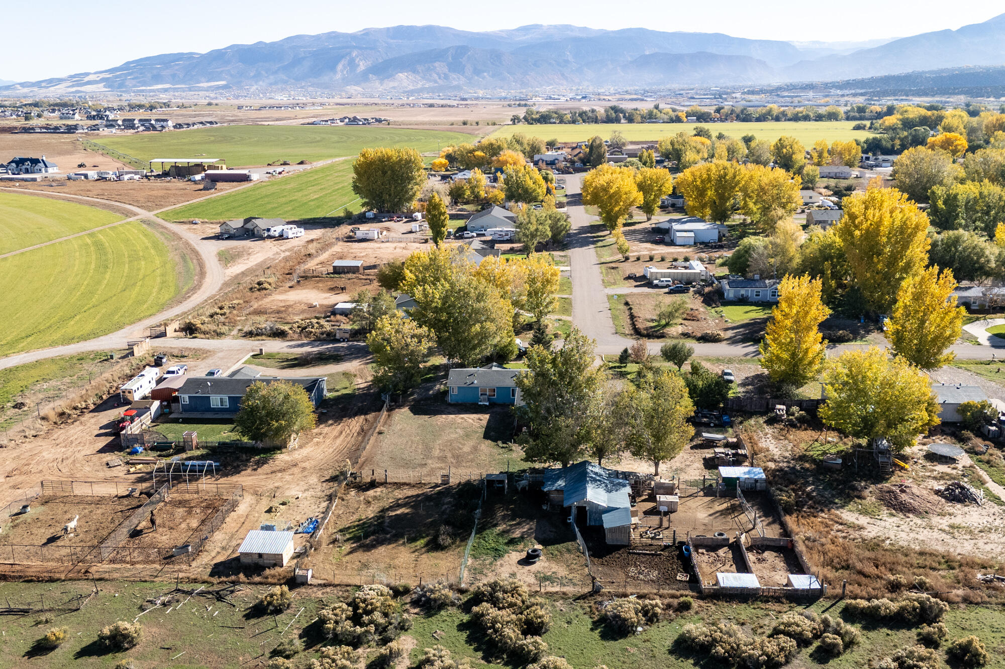 BUENA VISTA - Residential