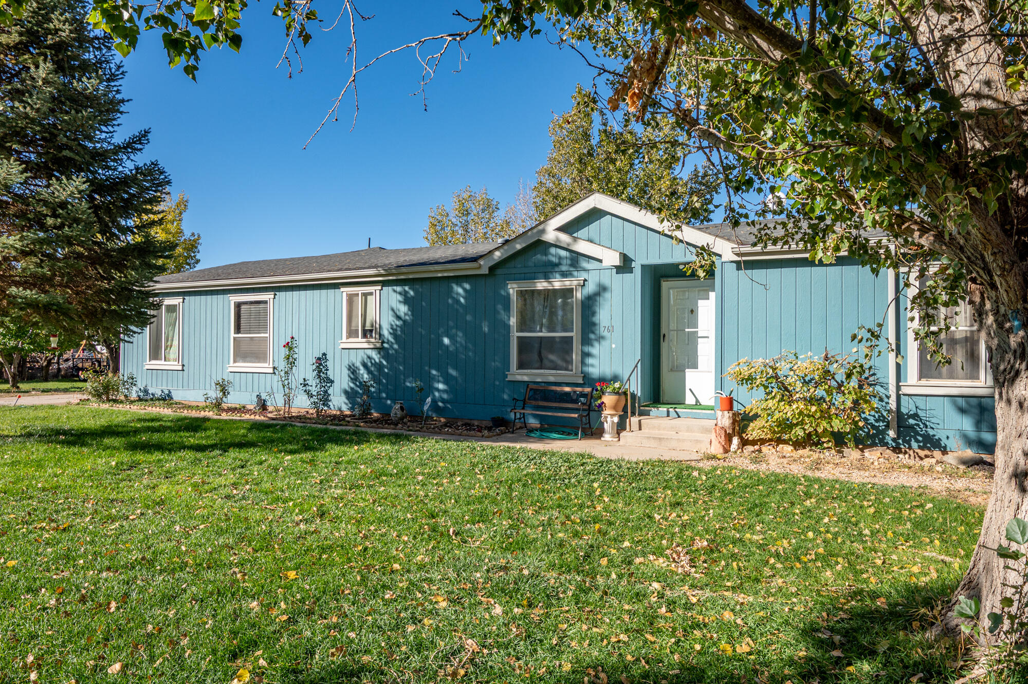 BUENA VISTA - Residential