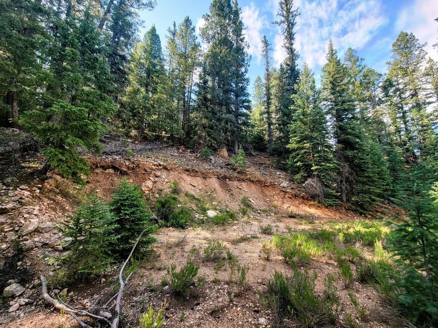 This .69 acre building lot is sloped with a view looking over the forest & valley & is perfect for a walkout basement. The lot is wooded with tall pine trees and has a small leveled out area on the property. The year round water impact fee has been paid which will make this an ideal lot for someone looking to build their dream cabin in the mountains. Power, landline phone/internet are in the street. The roads are plowed in the winter for winter access & are treated for dust control in the summer. The HOA has developed a community area for reunions, get togethers, picnics, & monthly pot luck get to know your neighbors dinners. The area includes: a fishing pond, large pavilion set up with BBQ, picnic tables & benches, horseshoe pits, playground, restrooms and tennis court. There is a private air park/runway for small airplanes; also a fenced off area for horses that includes meadow grass and a stream. There is easy access into the national forest and scenic ATV trails. The small community of Swains Creek is approx 2 miles off Hwy 14 and away from hwy noise and traffic. Call today for more information.