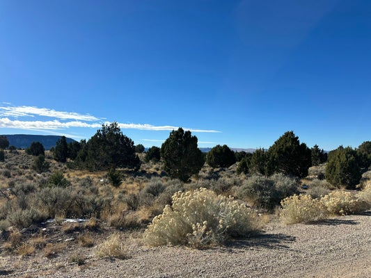 PARCEL 01-0248-0009, BEAVER, UT 84713 - Image e80d3aaeb6cce42a40dff22644fd1edc/4264698072
