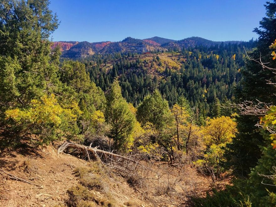 Nice building lot in the Bryce Woodlands Estates Subdivision with views of the surrounding mountains. This lot is ready to build your dream cabin. If you are looking for a place to get away from the noise, this is it. The lot is sloped which could provide a view of the mountains. Power is one lot away and could be brought to the property. Water is hauled in by the property owner and stored in a water tank at the property. Septic systems/tanks are used in this area. Access to this lot in the winter months is by snowmobile. Nicely wooded with pine and oak trees makes this lot a great place to rest and relax in the mountains. Bryce Woodlands Estates is a small hidden subdivision located on the back side of Bryce Canyon. You will find it tucked away under some gorgeous rock formations just off scenic Highway 89. Wildlife is abundant and enjoyed by all; trophy-sized deer roam this area and are often seen playing in the peaceful park within this subdivision.