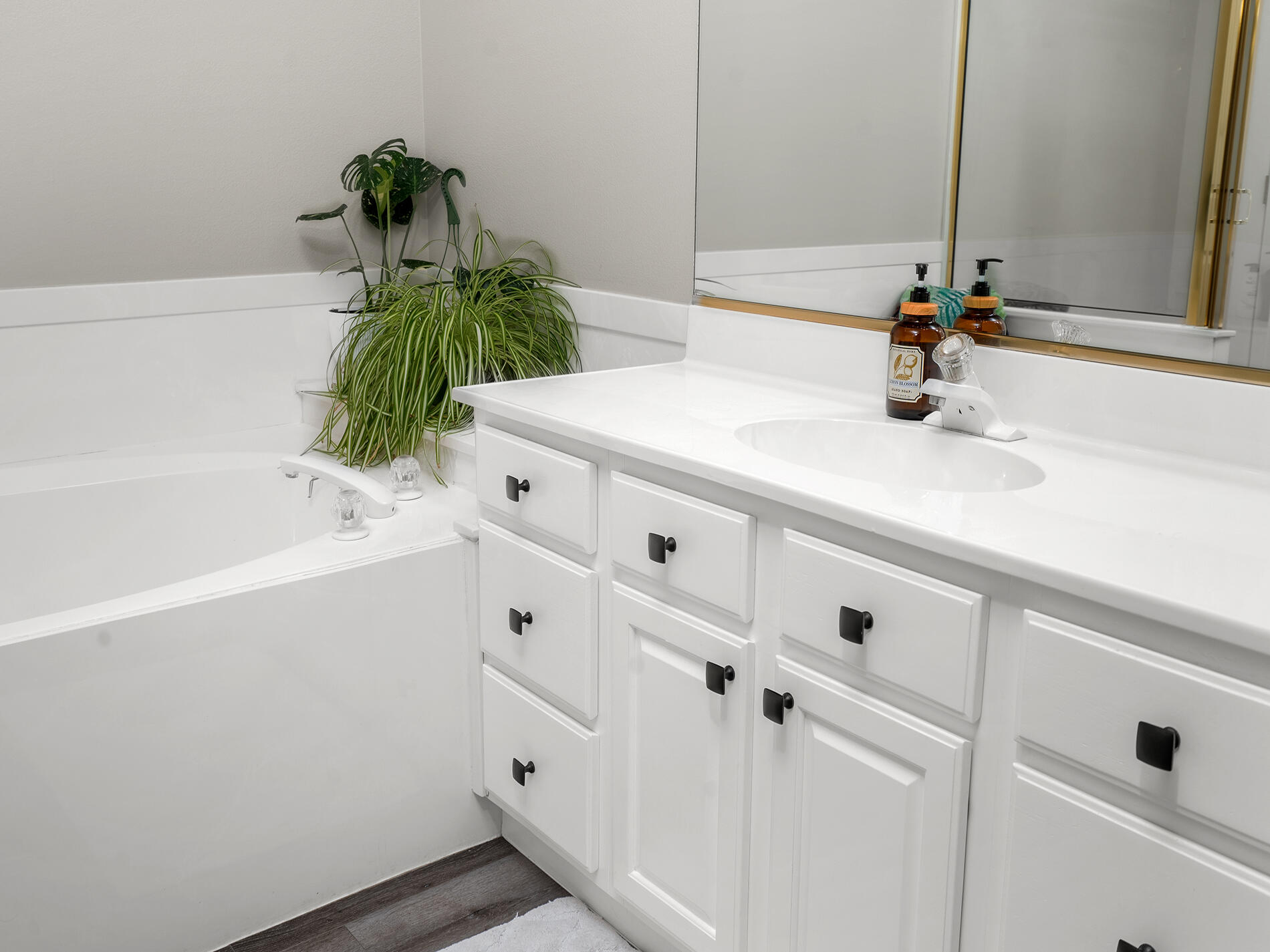 SPRING HILL ESTATES - Residential