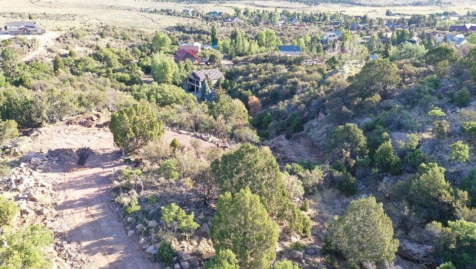 PINE VALLEY RANCHOS - Land