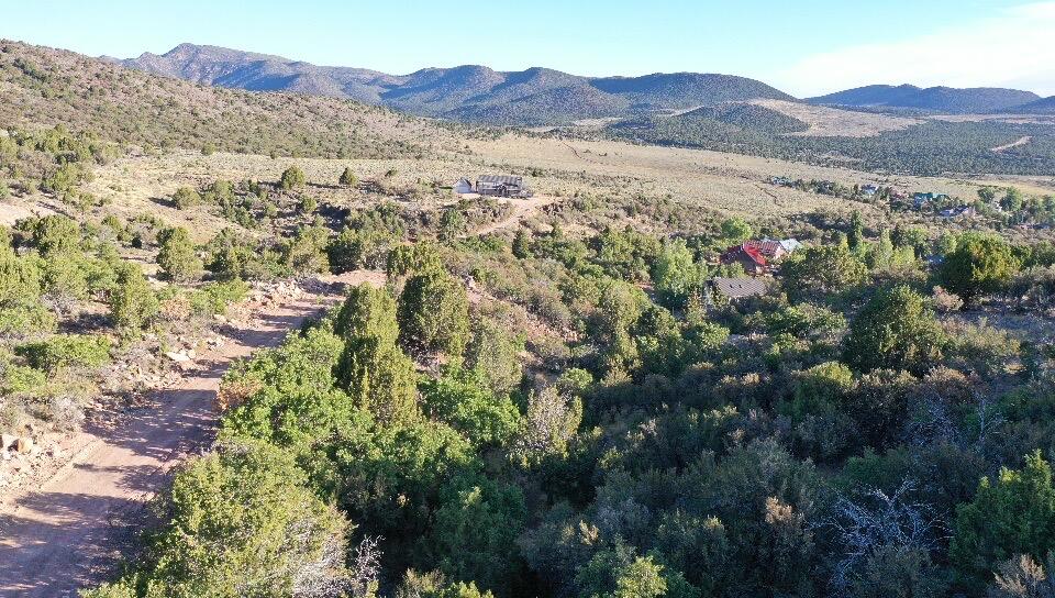 PINE VALLEY RANCHOS - Land