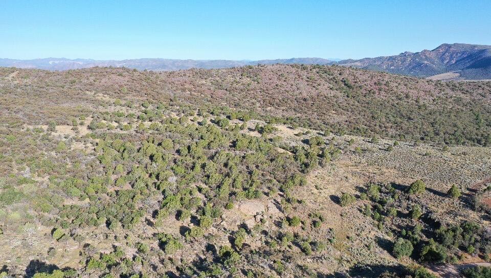 PINE VALLEY RANCHOS - Land