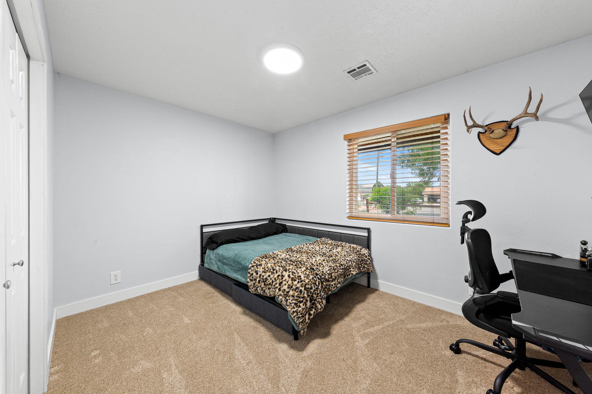 DIAMOND VALLEY ACRES - Residential