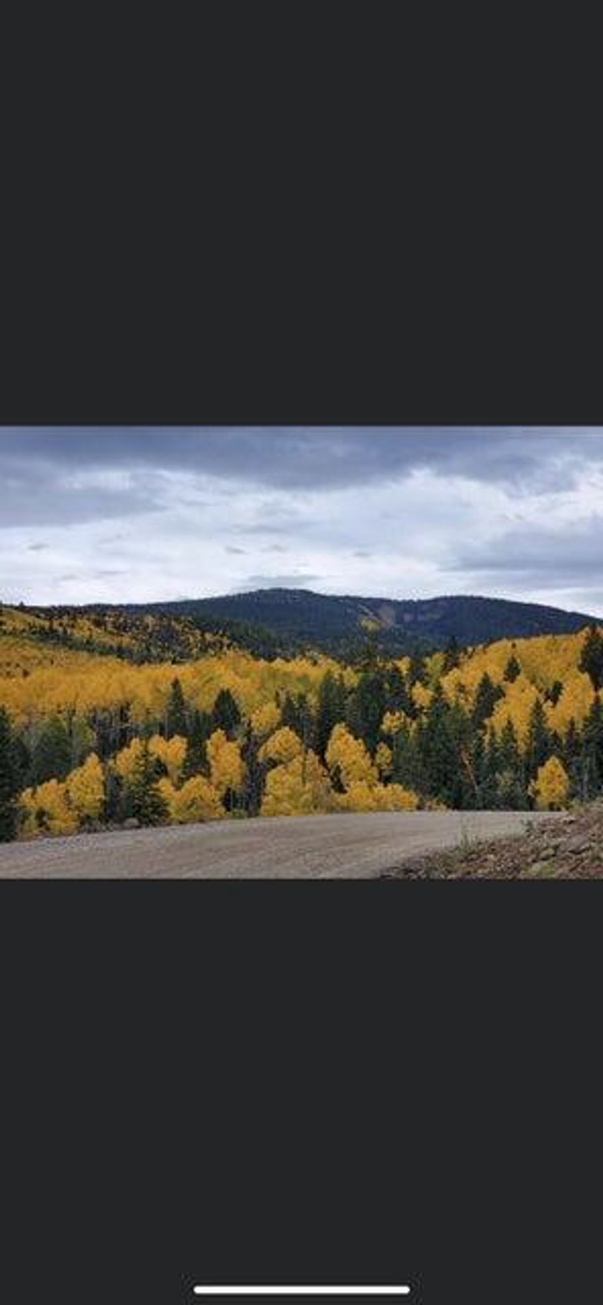 Own your piece of Heaven. Price is ONLY $80,000 if purchased with Lot #47! Get out of the heat and buys lives to Eagle Point Resort. This area is an amazing place to hike, bike, ski, and snowboard, cool breezes, sunrises and sunsets that will take your breath away, star filled skies, fall leaves, hunting, fishing, play at Puffer Lake, Must see to appreciate this beautiful place to build your cabin.