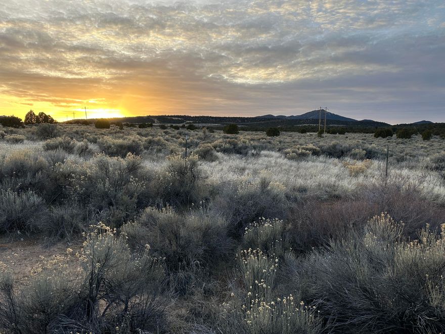 Prepare to construct your dream home on this stunning 5.18-acre horse property, located approximately 15
minutes west of Cedar City. 
The water well is only one year old, extends 500 feet deep, and features a pump and pressure system already installed. Electricity is available and connected on site. There is one acre-foot of water right available, not included.  Come prepared to enjoy the views and serenity of country living at its finest.