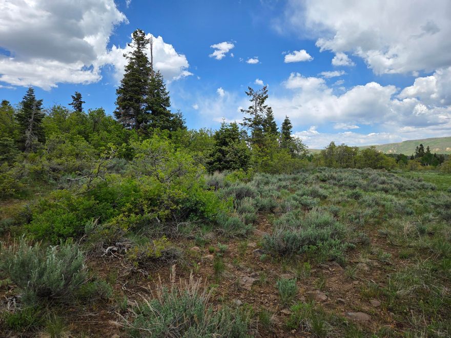 What a beautiful spot in the mountains.  Wide views in all directions with few trees blocking the view.  Open meadow, deep lot, low density, acre+ lot sizes. and less traffic.  Just a few miles away from good fishing in the Kolob Reservoir.  Then miles and miles of wide open mountain land to explore.  Utilities in place, ready for a hook up to your future cabin.