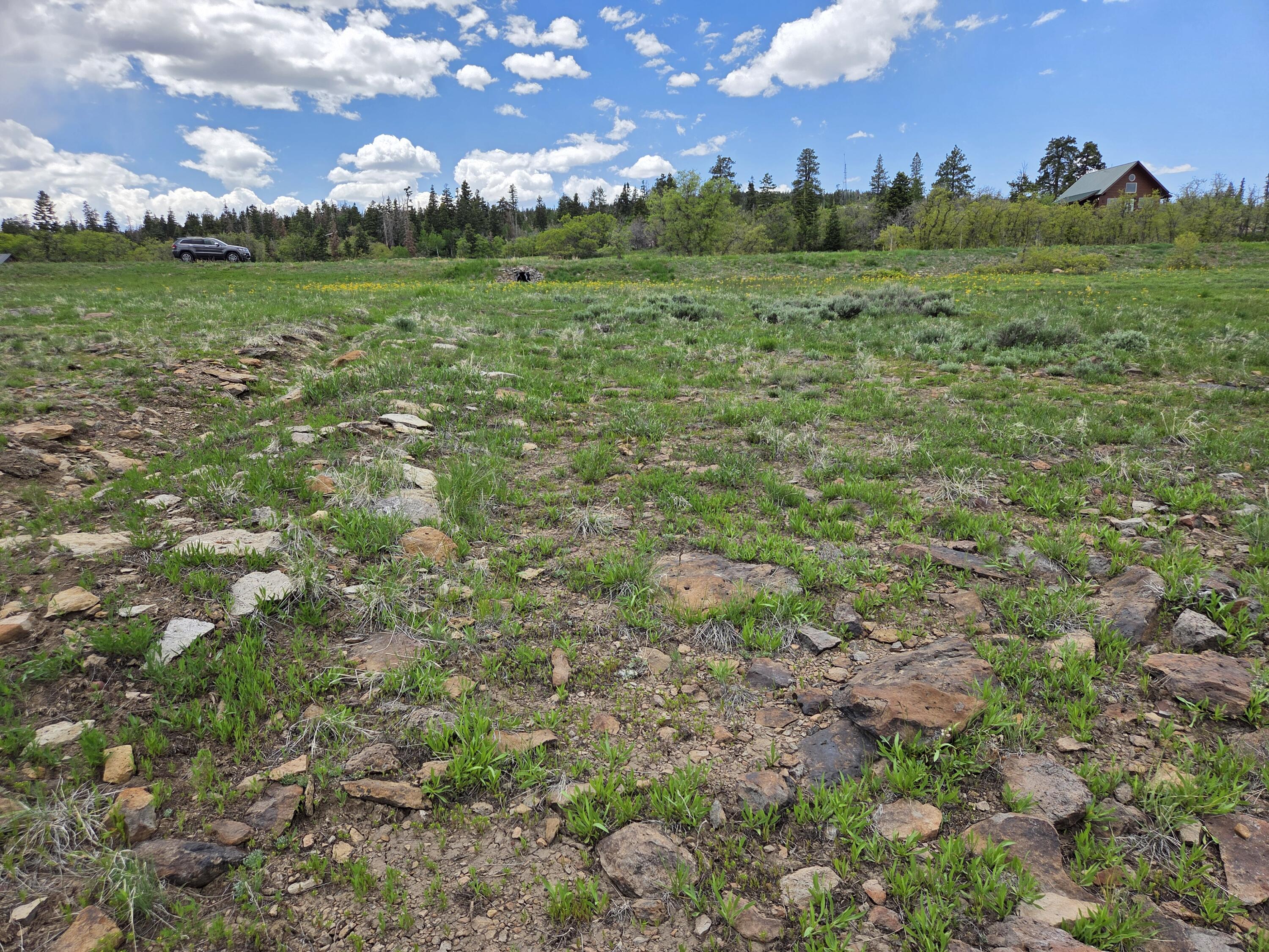 WHISPERING PINES SUB - Land