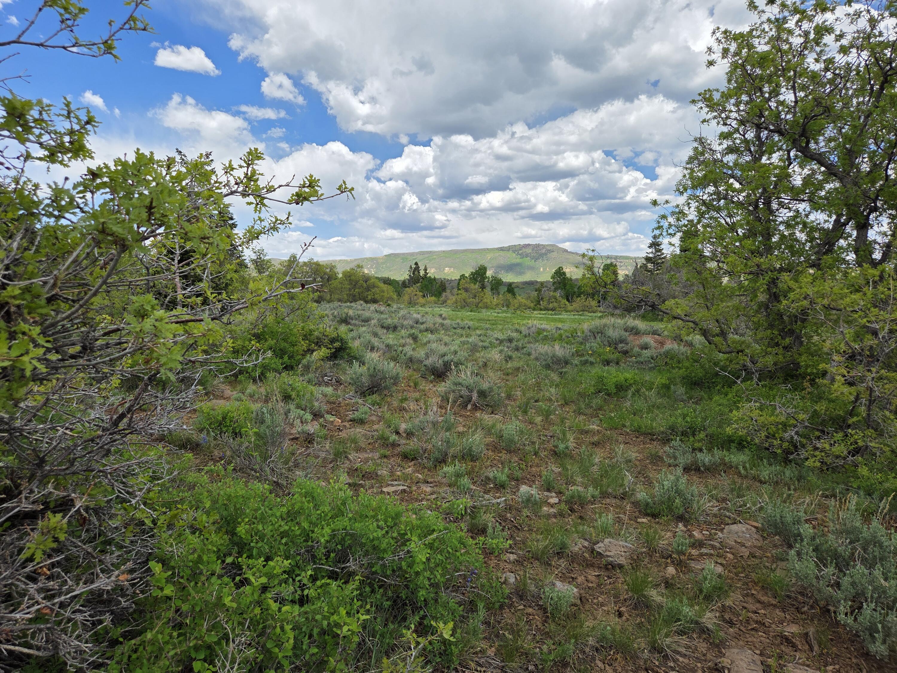 WHISPERING PINES SUB - Land