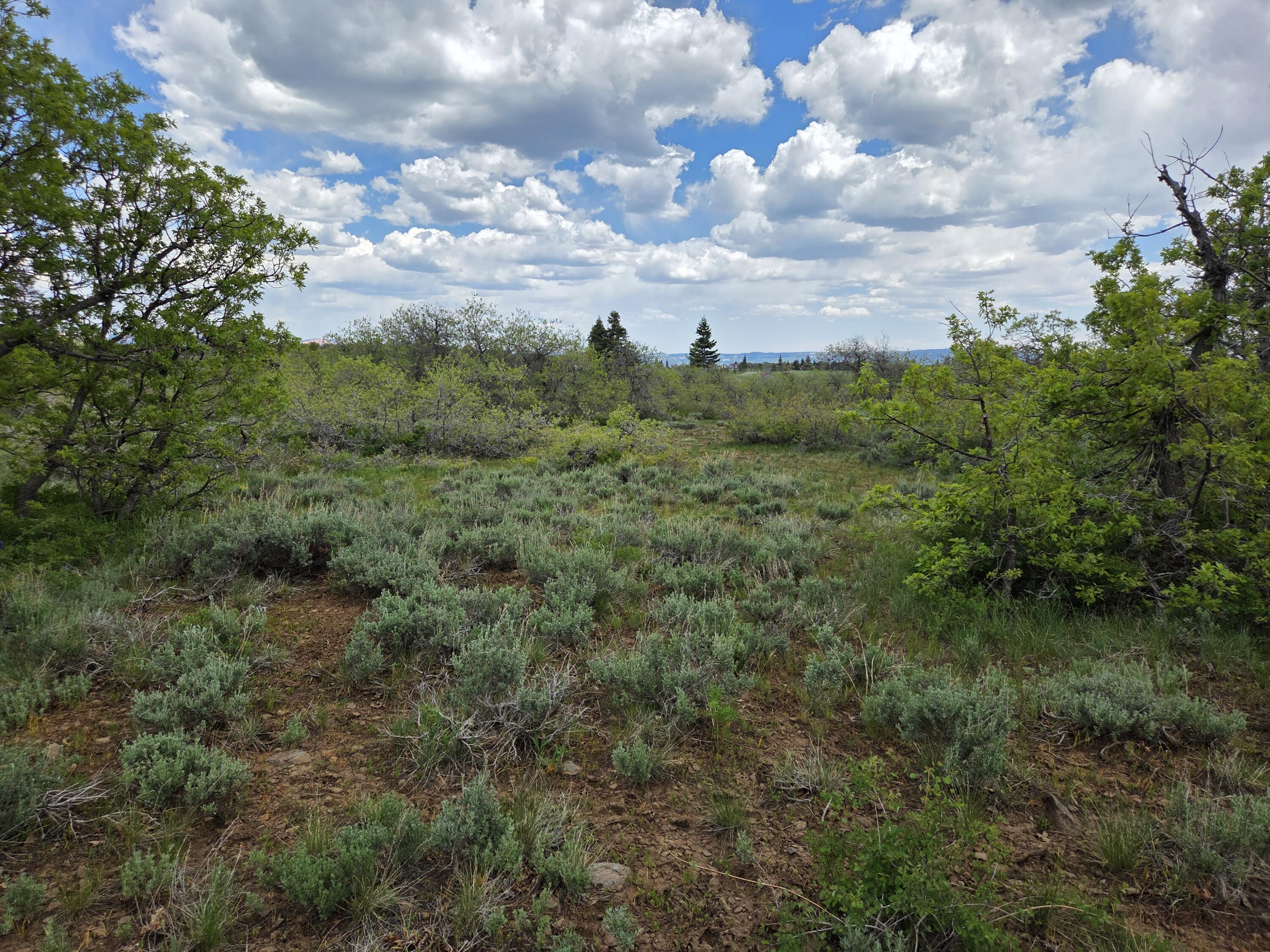 WHISPERING PINES SUB - Land