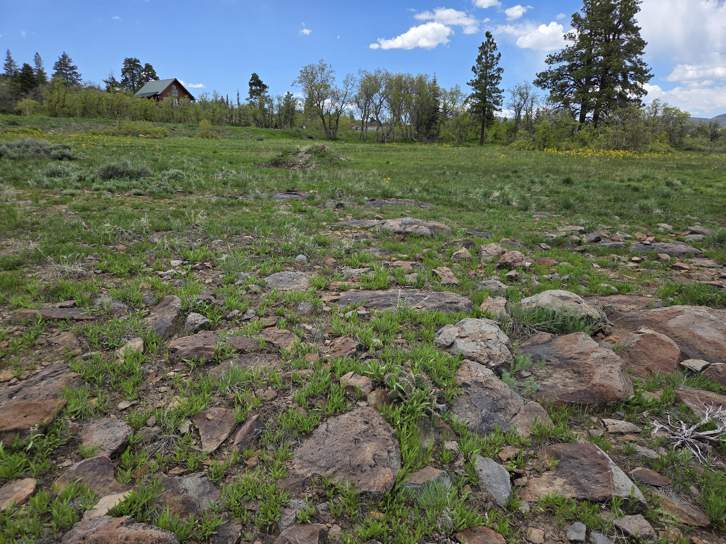 WHISPERING PINES SUB - Land