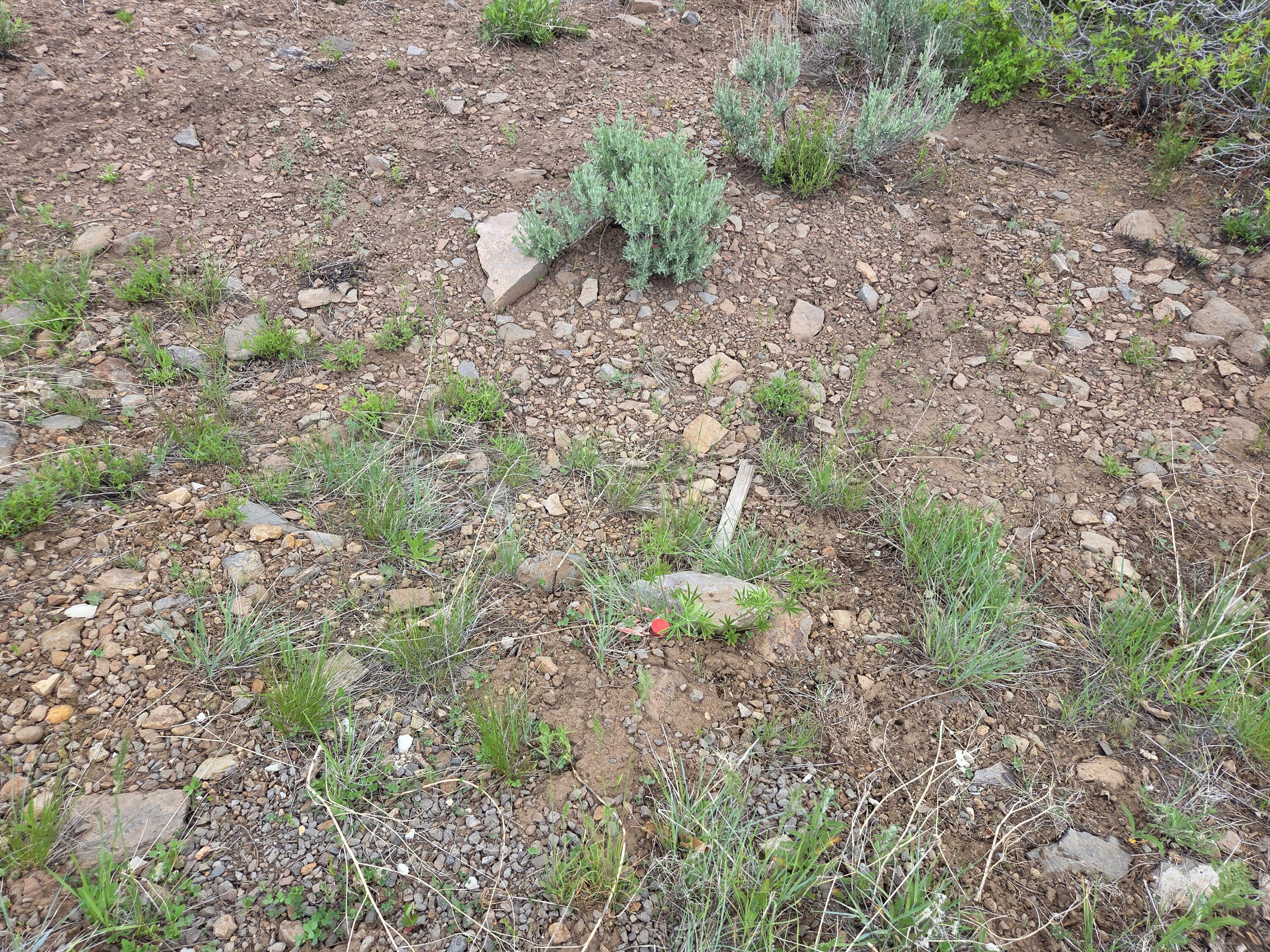 WHISPERING PINES SUB - Land