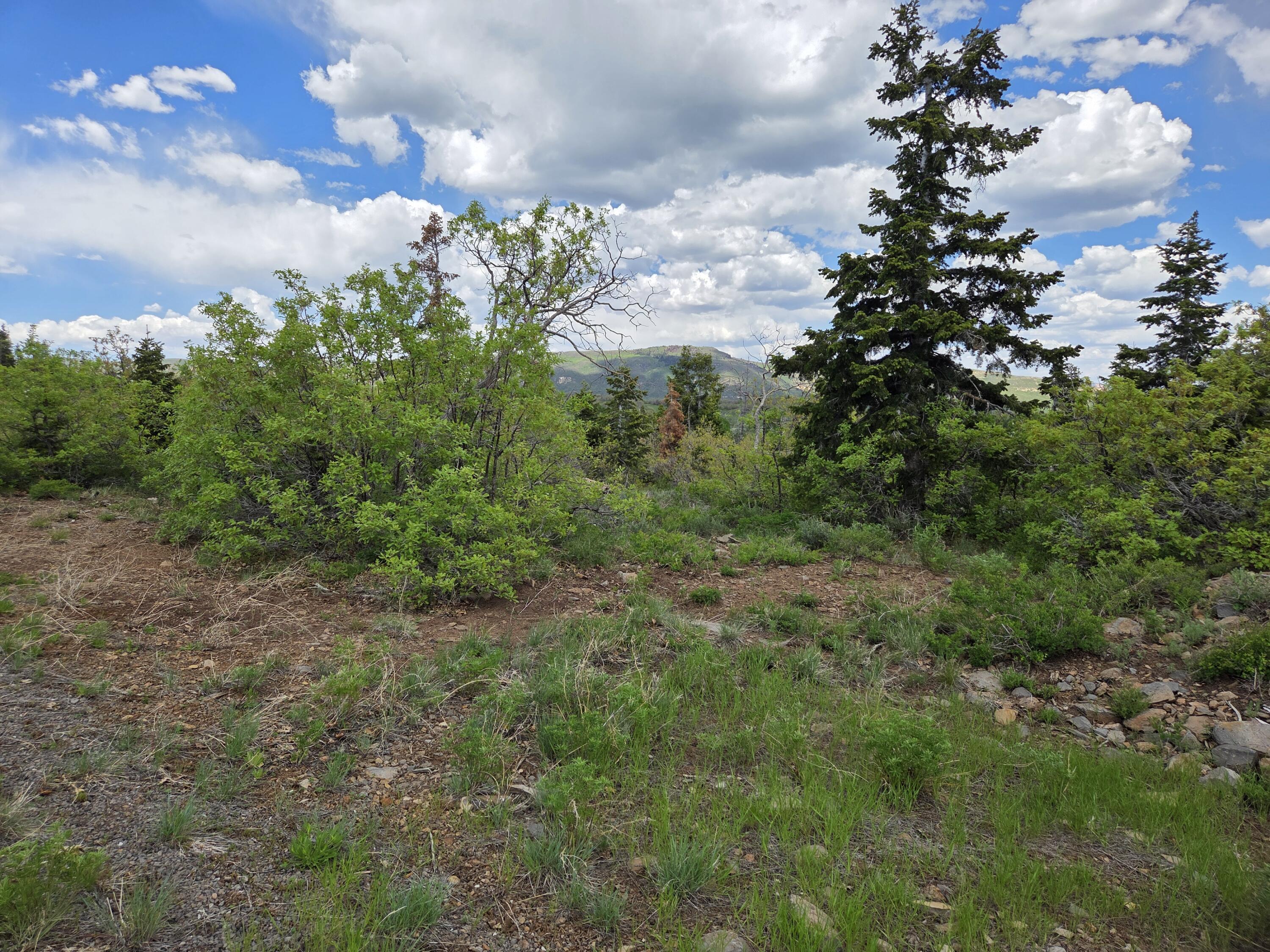 WHISPERING PINES SUB - Land