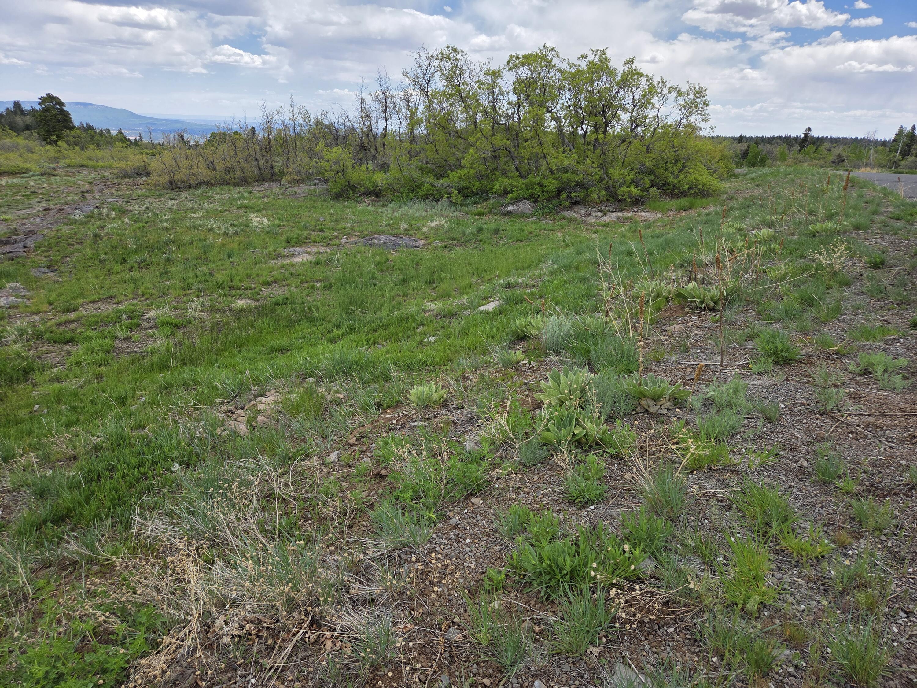 WHISPERING PINES SUB - Land