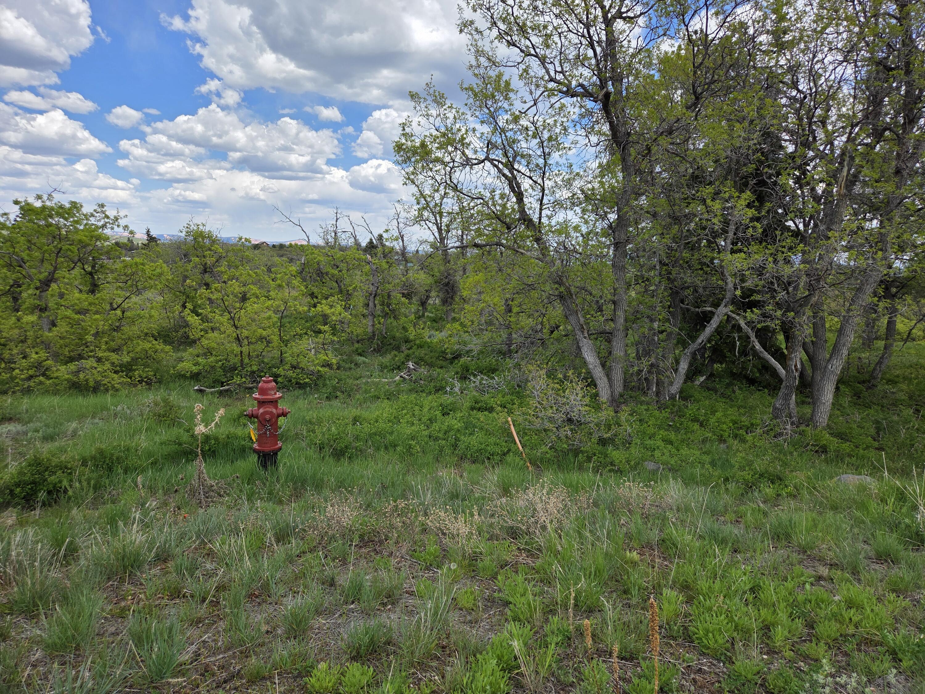 WHISPERING PINES SUB - Land